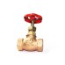 GM Globe Valve Forged Gun Metal Screwed Rising Stem ISI Marked (RMW)